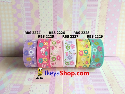 Pita RBS 2224 2229  large2